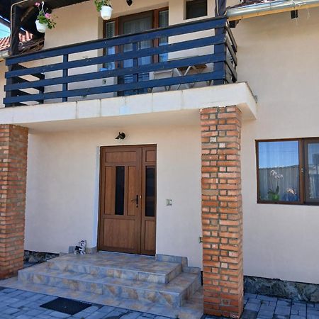 Casa Loredana Cîrţişoara 外观 照片